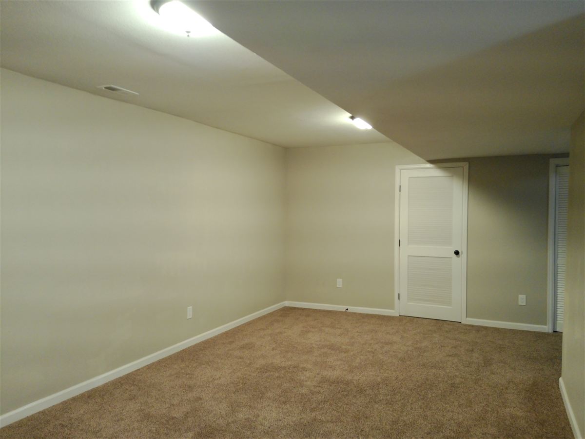 Lower-level family room