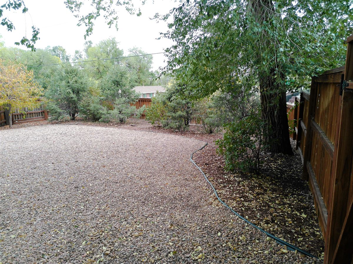 Xeriscaped backyard